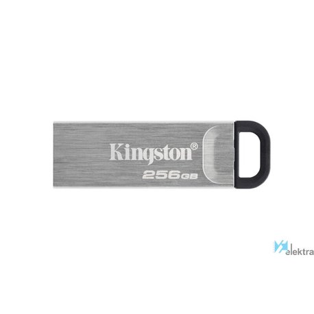 Kingston Technology DTKN/256GB